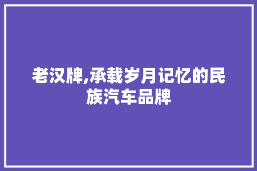 老汉牌,承载岁月记忆的民族汽车品牌