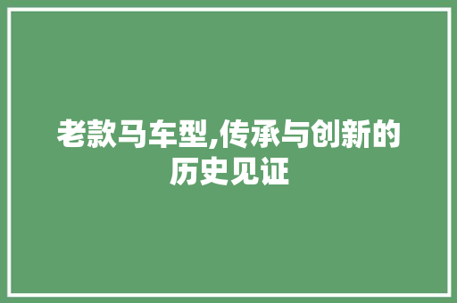 老款马车型,传承与创新的历史见证