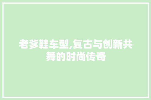 老爹鞋车型,复古与创新共舞的时尚传奇