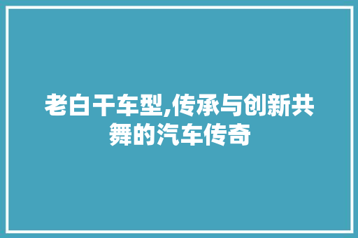 老白干车型,传承与创新共舞的汽车传奇