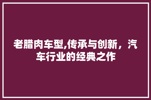 老腊肉车型,传承与创新，汽车行业的经典之作