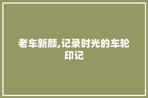 老车新颜,记录时光的车轮印记