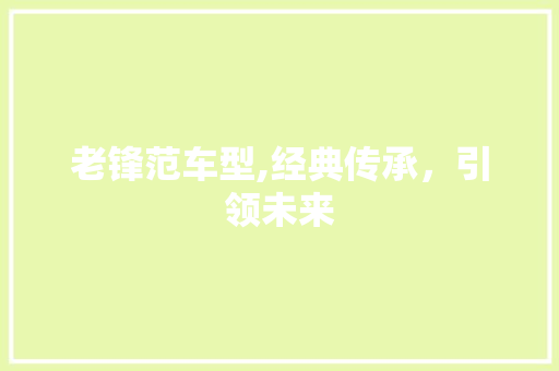 老锋范车型,经典传承，引领未来