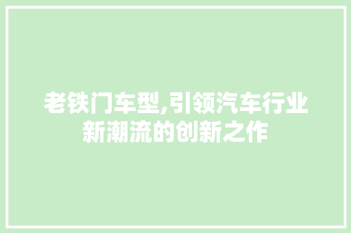老铁门车型,引领汽车行业新潮流的创新之作 车灯配件
