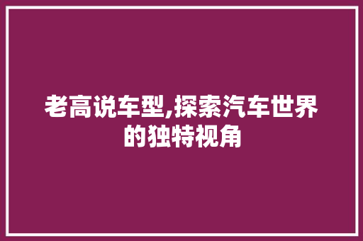 老高说车型,探索汽车世界的独特视角
