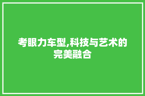 考眼力车型,科技与艺术的完美融合 底盘配件