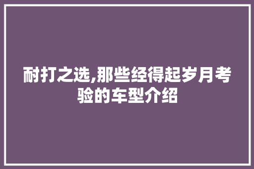 耐打之选,那些经得起岁月考验的车型介绍