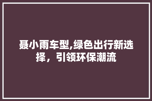 聂小雨车型,绿色出行新选择，引领环保潮流