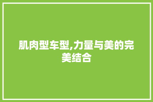 肌肉型车型,力量与美的完美结合