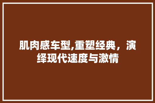 肌肉感车型,重塑经典，演绎现代速度与激情 蓄电池配件
