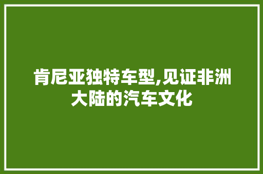 肯尼亚独特车型,见证非洲大陆的汽车文化 车身配件