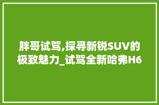 胖哥试驾,探寻新锐SUV的极致魅力_试驾全新哈弗H6