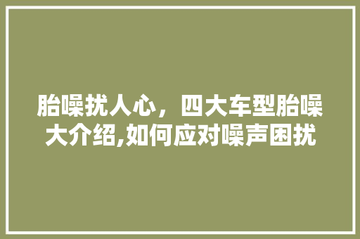 胎噪扰人心，四大车型胎噪大介绍,如何应对噪声困扰