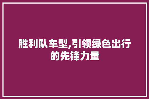 胜利队车型,引领绿色出行的先锋力量