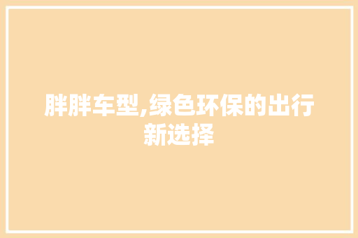 胖胖车型,绿色环保的出行新选择