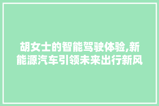 胡女士的智能驾驶体验,新能源汽车引领未来出行新风尚