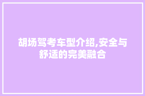 胡场驾考车型介绍,安全与舒适的完美融合