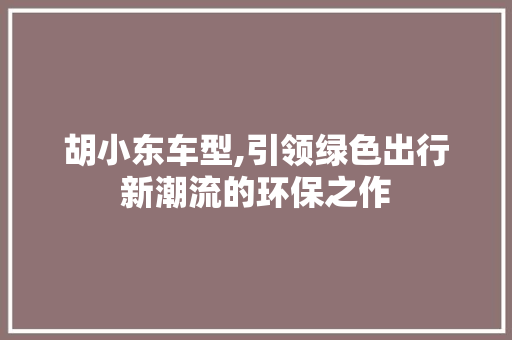 胡小东车型,引领绿色出行新潮流的环保之作 车灯配件
