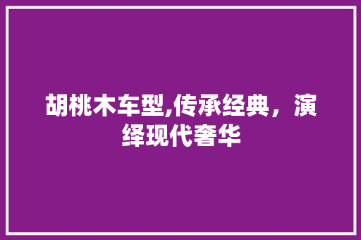 胡桃木车型,传承经典，演绎现代奢华 底盘配件
