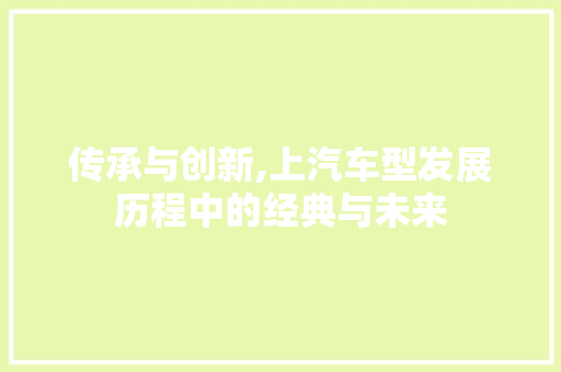 传承与创新,上汽车型发展历程中的经典与未来