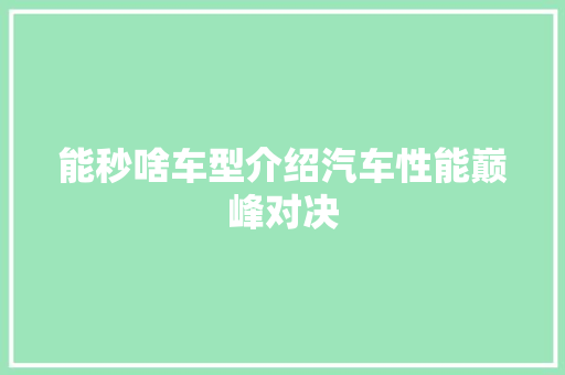 能秒啥车型介绍汽车性能巅峰对决