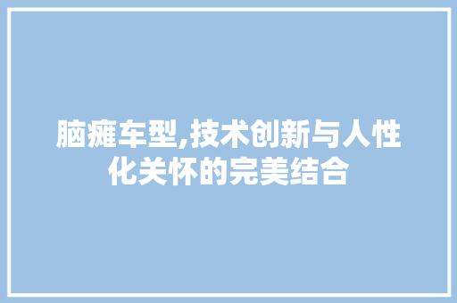 脑瘫车型,技术创新与人性化关怀的完美结合