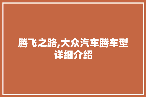 腾飞之路,大众汽车腾车型详细介绍