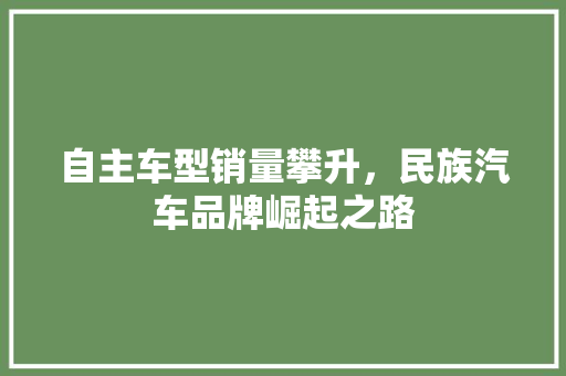 自主车型销量攀升，民族汽车品牌崛起之路