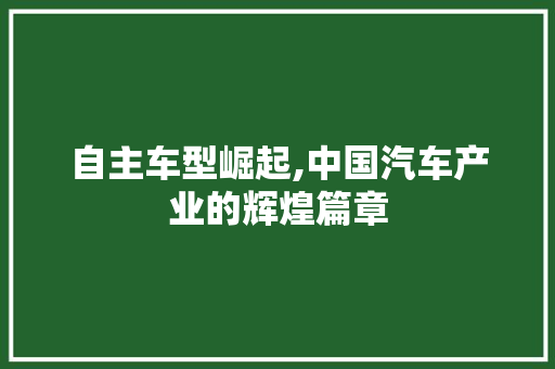 自主车型崛起,中国汽车产业的辉煌篇章