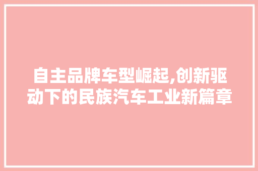 自主品牌车型崛起,创新驱动下的民族汽车工业新篇章