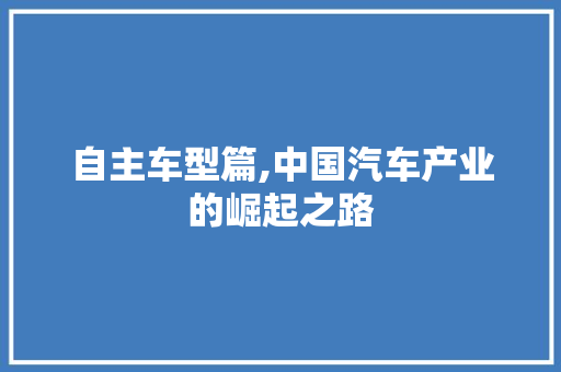 自主车型篇,中国汽车产业的崛起之路
