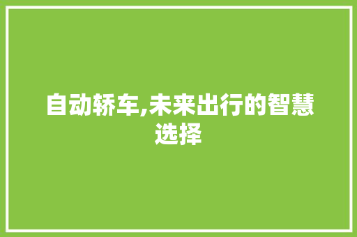 自动轿车,未来出行的智慧选择