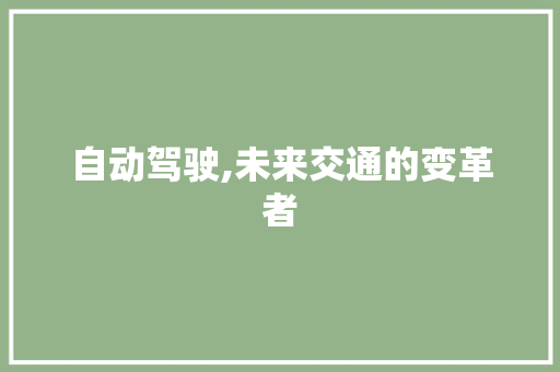 自动驾驶,未来交通的变革者