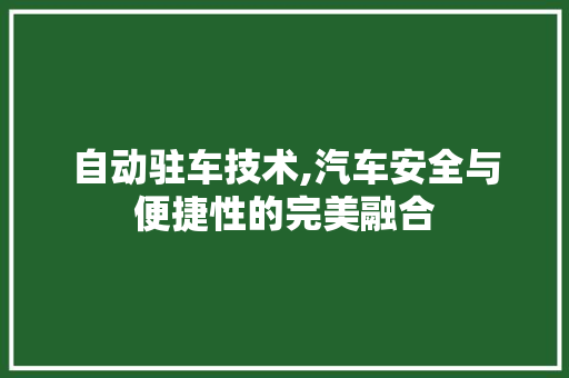 自动驻车技术,汽车安全与便捷性的完美融合