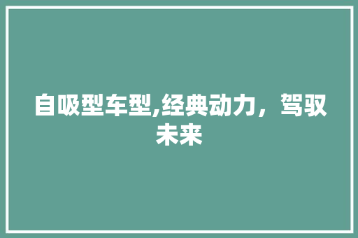 自吸型车型,经典动力，驾驭未来