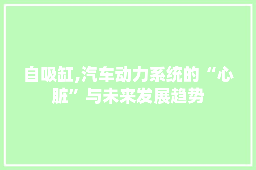自吸缸,汽车动力系统的“心脏”与未来发展趋势