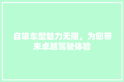 自吸车型魅力无限，为您带来卓越驾驶体验