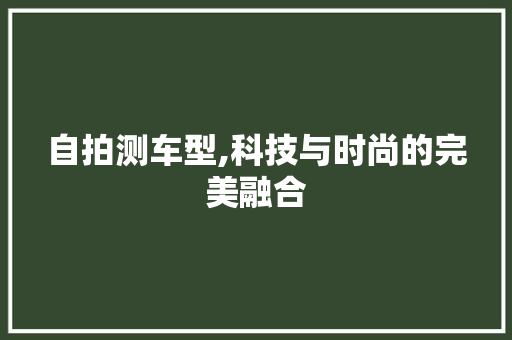 自拍测车型,科技与时尚的完美融合