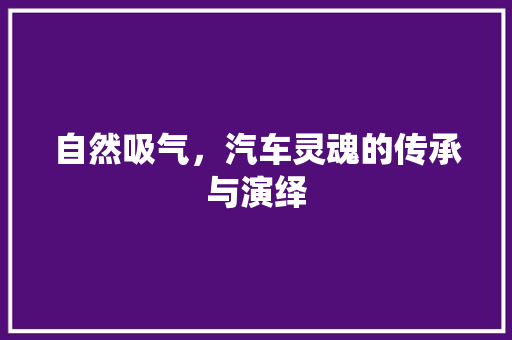 自然吸气，汽车灵魂的传承与演绎