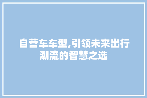 自营车车型,引领未来出行潮流的智慧之选