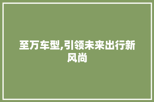 至万车型,引领未来出行新风尚