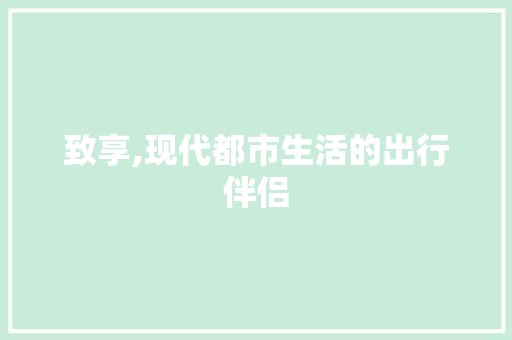 致享,现代都市生活的出行伴侣