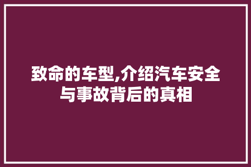 致命的车型,介绍汽车安全与事故背后的真相