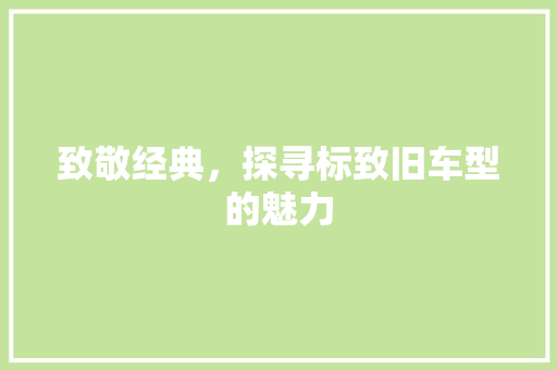 致敬经典，探寻标致旧车型的魅力