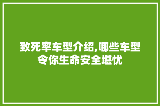 致死率车型介绍,哪些车型令你生命安全堪忧