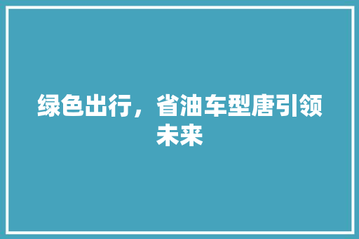 绿色出行，省油车型唐引领未来