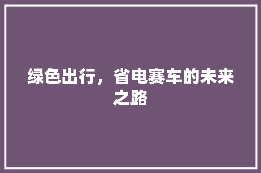 绿色出行，省电赛车的未来之路