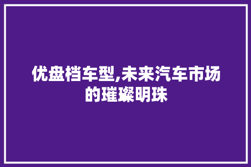 优盘档车型,未来汽车市场的璀璨明珠