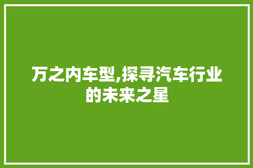 万之内车型,探寻汽车行业的未来之星