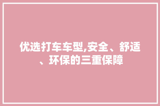 优选打车车型,安全、舒适、环保的三重保障